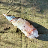 Amethyst Agate Feathers
