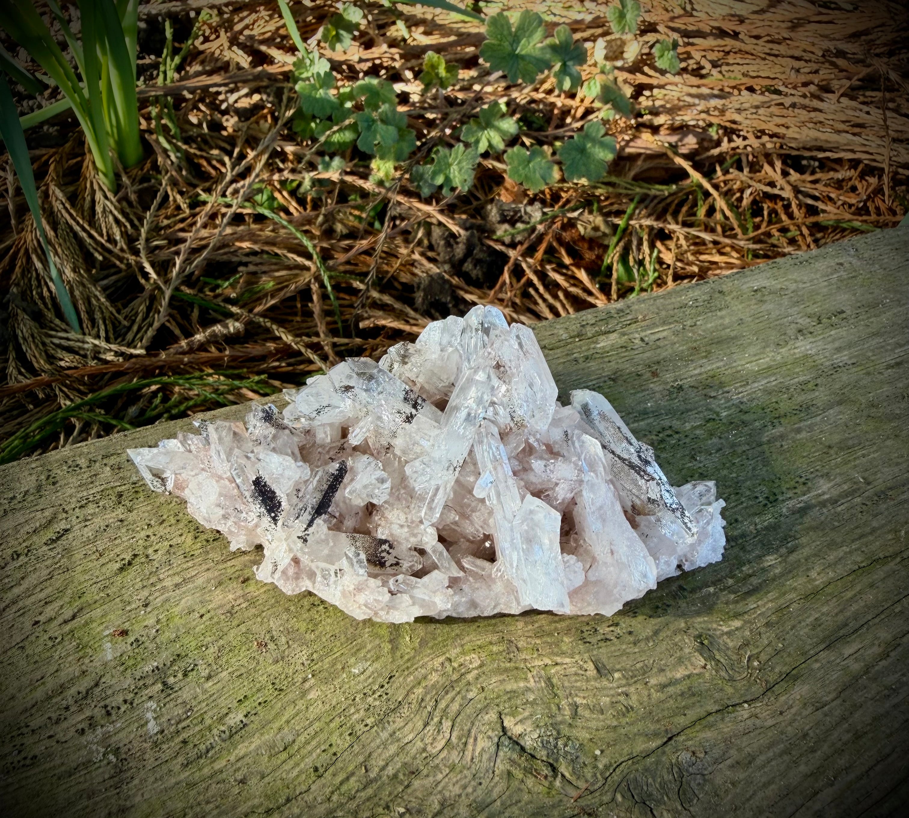 Pink Lemurian Quartz (Colombian)