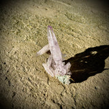 Veracruz Amethyst - Mexico