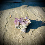 Veracruz Amethyst - Mexico
