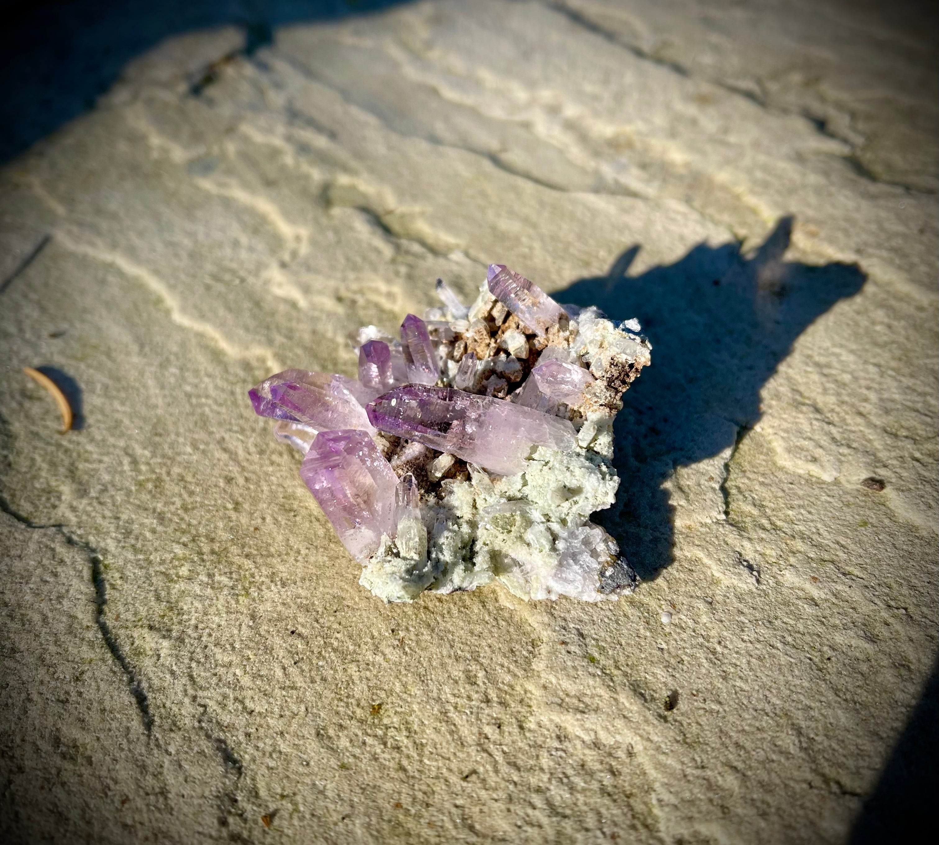 Veracruz Amethyst - Mexico
