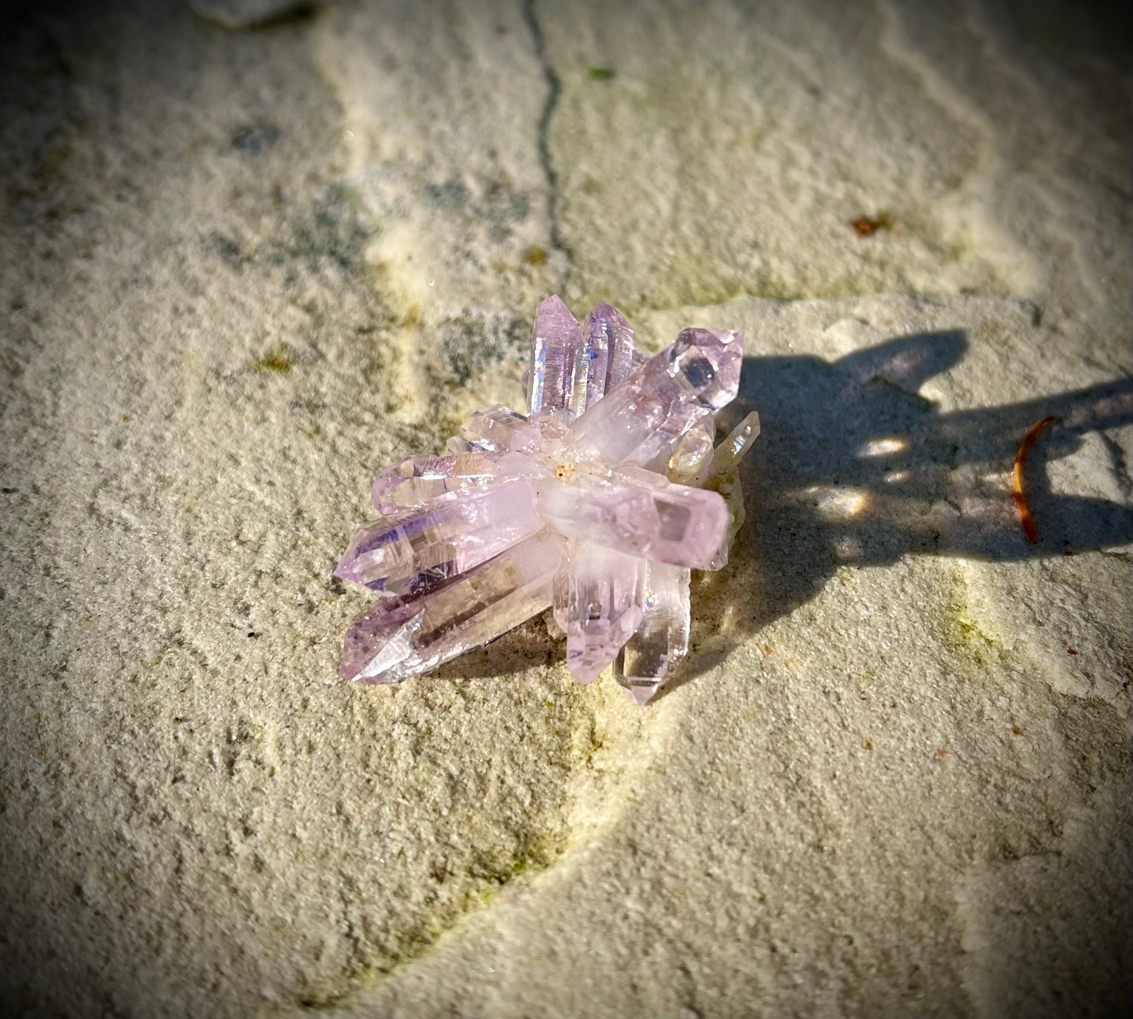Veracruz Amethyst - Mexico