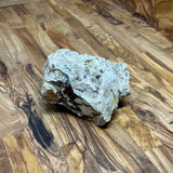 Raw Petrified Wood Chunk