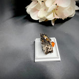 Wulfenite