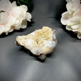 Botryoidal Chalcedony (Truffle)